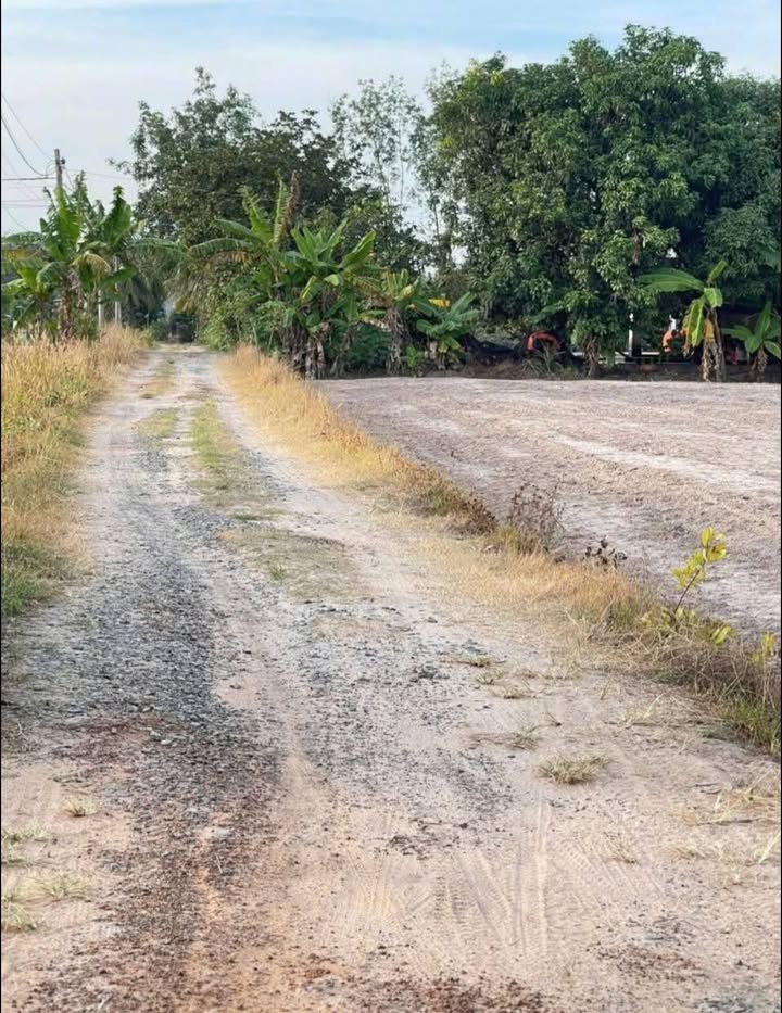 Đất Ninh Sơn, TP Tây Ninh 200m² giá 360 triệu - Cơ hội đầu tư tuyệt vời!