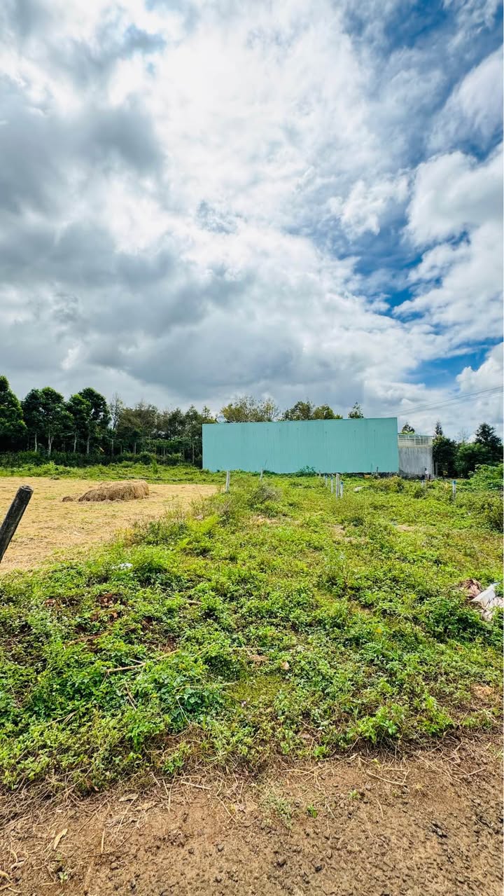 Đất hẻm Võ Văn Kiệt, Thống Nhất 125m² giá 600 triệu - Đầu tư sinh lời ngay!