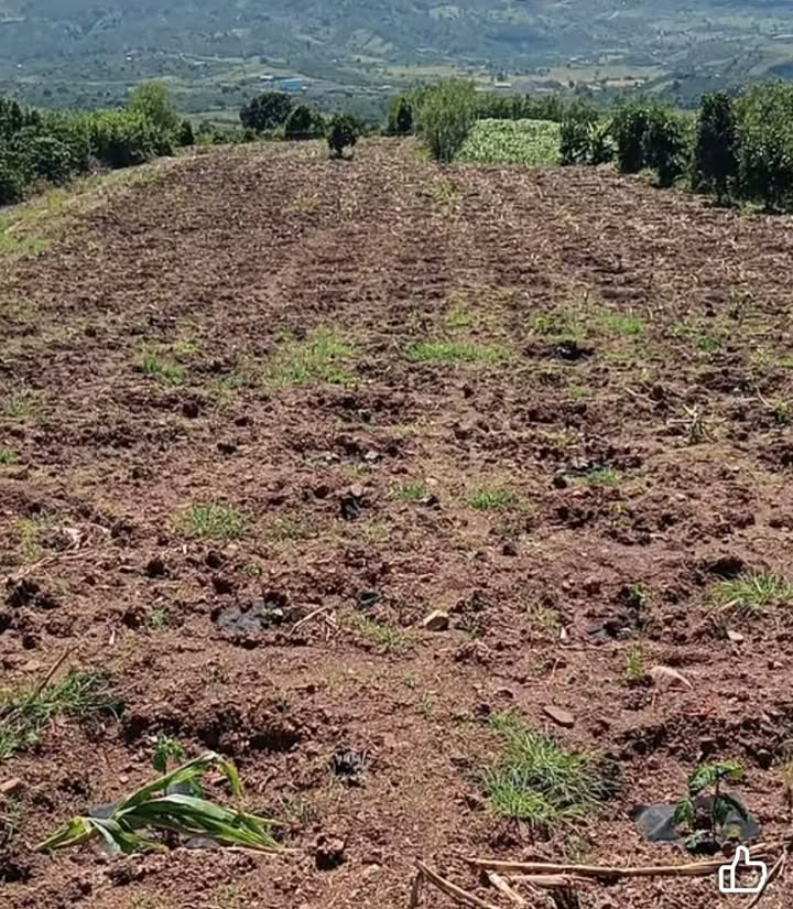 Đất nền Liên Hà Lâm Hà 19980m² giá 1.93 tỷ - Sổ đỏ chính chủ, ô tô vào tận nơi!