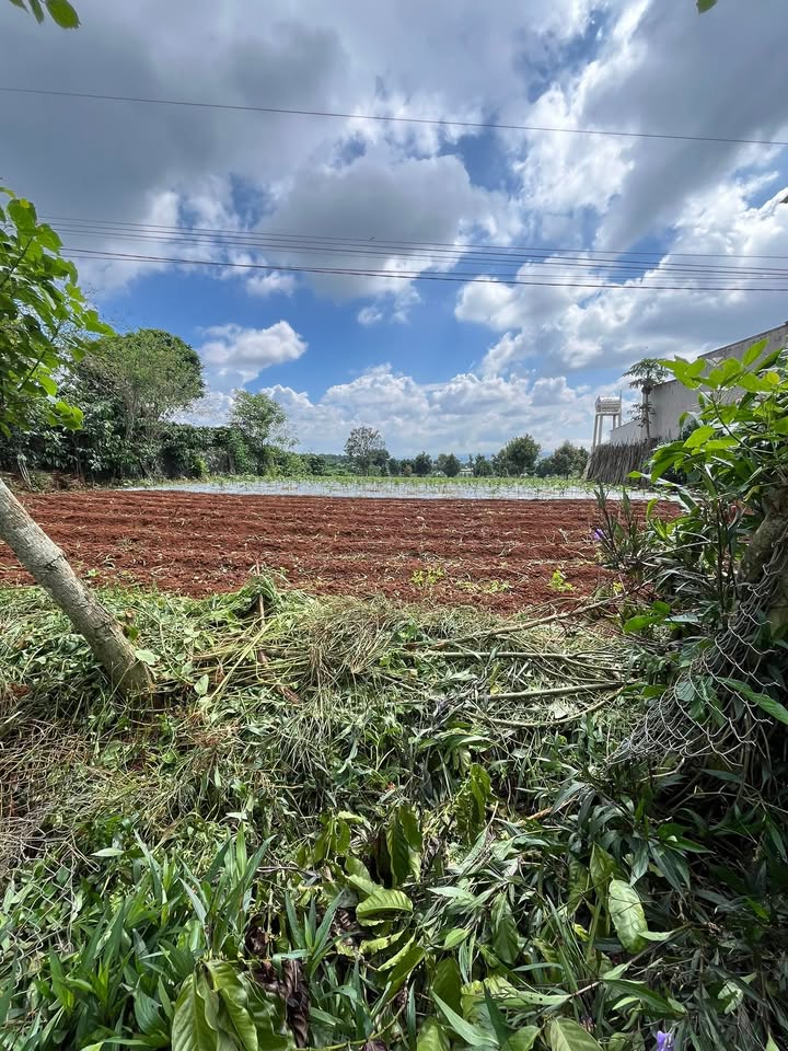 Đất nền Tân Hà Lâm Đồng 2000m² giá 3 tỷ - Mặt tiền đường bê tông thuận lợi!