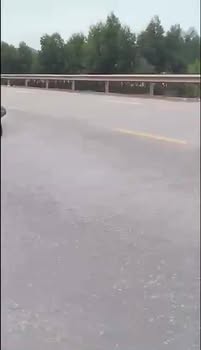 Đất nền mặt Quốc lộ 31, xã Phượng Sơn, 95m² giá 1.6 tỷ - Cơ hội đầu tư tuyệt vời!