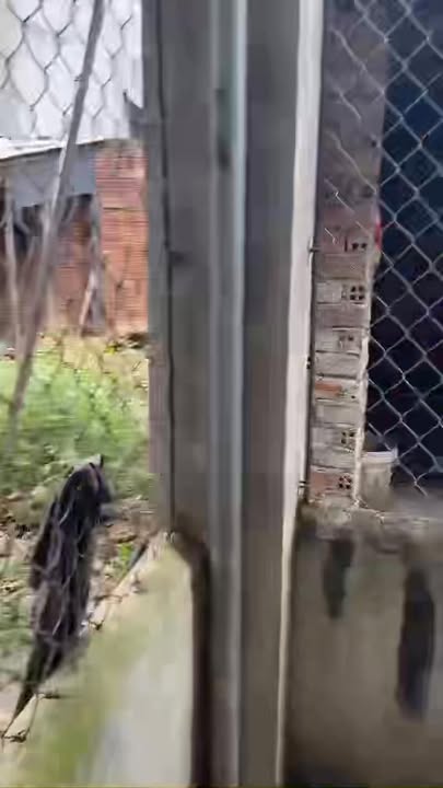 Đất thổ cư thôn 12 xã Ea Đar 243m² - Gần chợ và trường học!