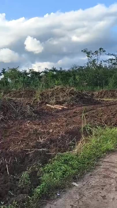 Đất nền Ea Kly 150m² chỉ từ 200 triệu - Cơ hội đầu tư hấp dẫn!