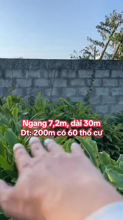 Đất nền Nhơn Ái, Phong Điền 200m² giá 1.39 tỷ - Cơ hội đầu tư hấp dẫn!