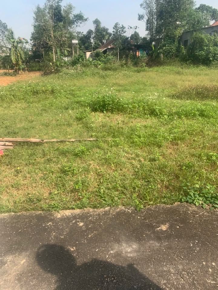 Đất nền Thôn Tân Hương, Hương Đô, 208m² giá 600 triệu - Cơ hội đầu tư tuyệt vời!