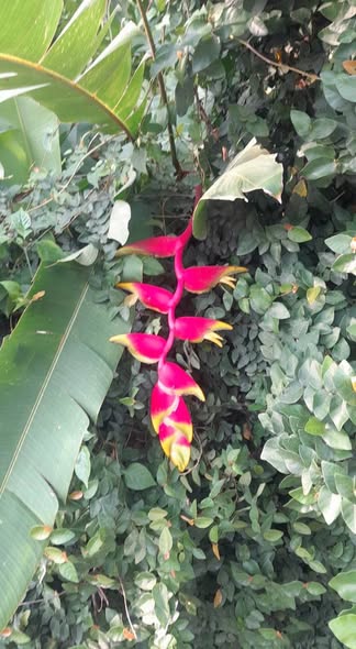 Đất thổ cư 498m² Phường Nam Nha Trang giá 12 triệu/m² - Cơ hội đầu tư tuyệt vời!