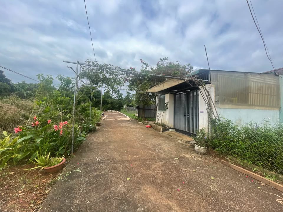 Đất nông nghiệp Tân Lợi, Buôn Ma Thuột 115m² giá 900 triệu - Tiềm năng đầu tư lớn!