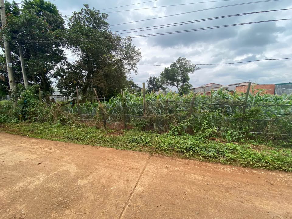 Đất nền Buôn Bông 600m² giá 2.1 tỷ - Tiềm năng đầu tư cực tốt!