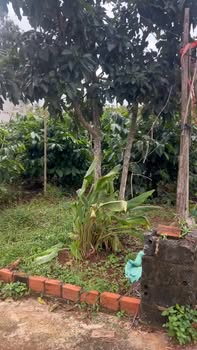 Đất thổ cư 707m² tại Phú Xuân, Krông Năng - Giá chỉ 1 tỷ VND