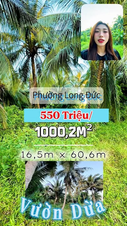 Đất vườn 1000,2m² tại Phường Long Đức, Trà Vinh chỉ 550 triệu - Cơ hội đầu tư tuyệt vời!
