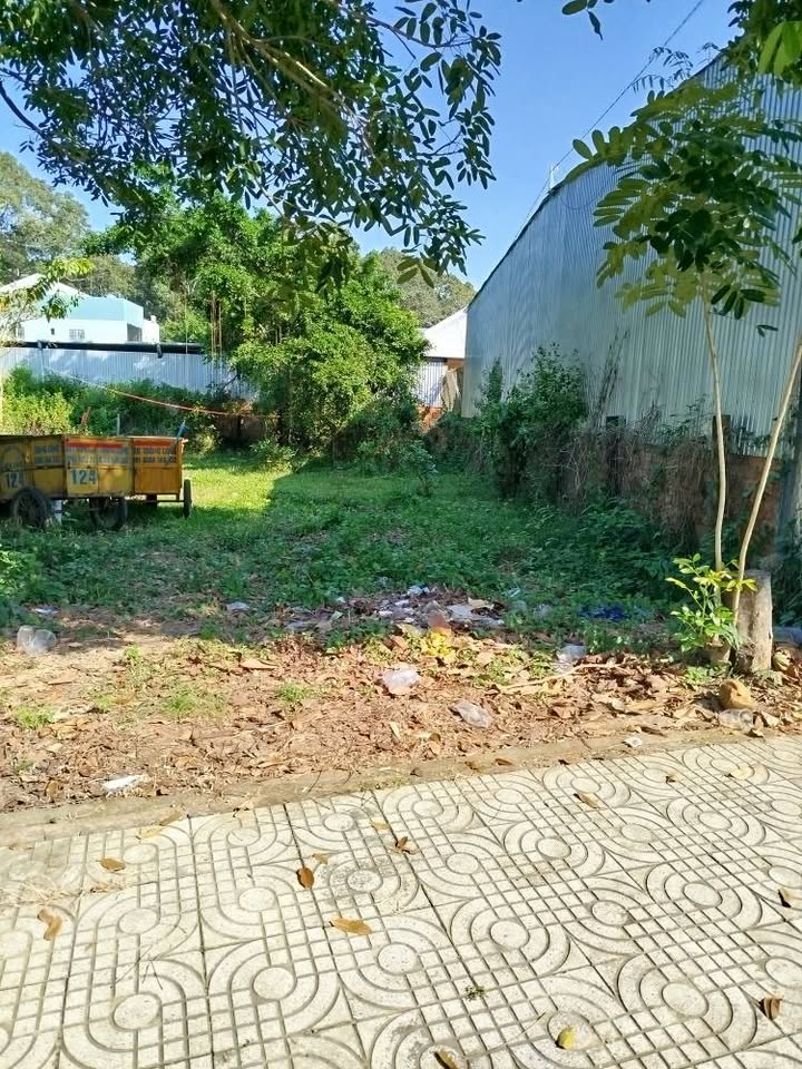 Đất mặt tiền đường Nguyễn Du, Trà Vinh 128m² giá 1.3 tỷ - Kinh doanh sầm uất!