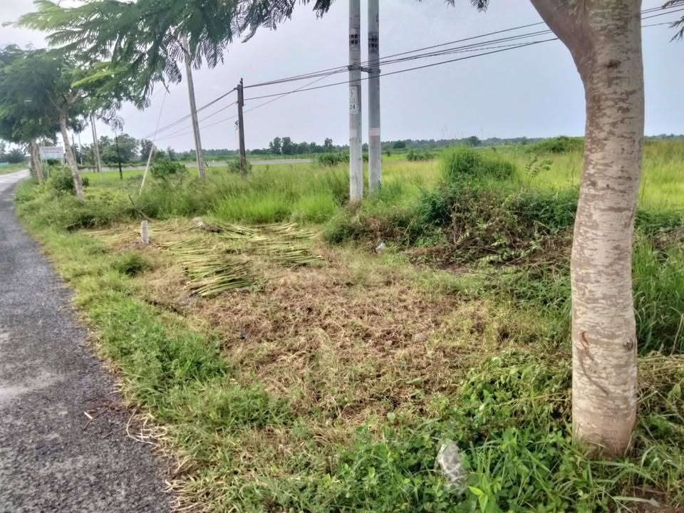 Đất mặt tiền tỉnh lộ 911, ấp Bà Giam, 1100m² giá chỉ 1.32 tỷ - Cơ hội đầu tư tốt!