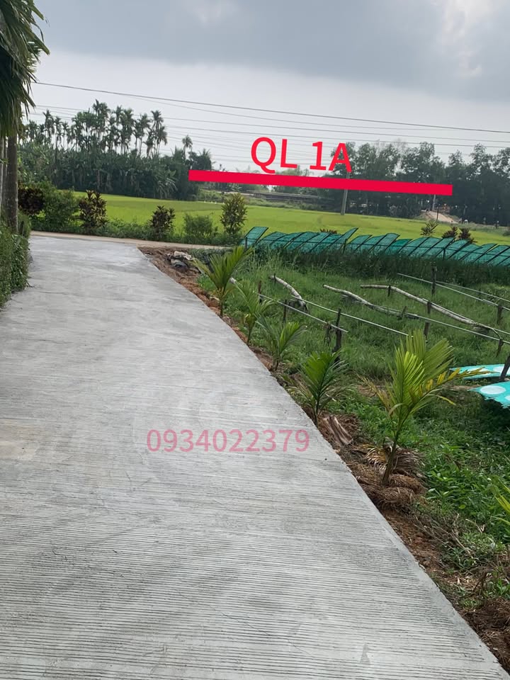 Đất ở Đức Tân Mộ Đức 150m² giá 268 triệu - Cơ hội đầu tư tuyệt vời!