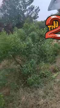 Đất nền mặt tiền đường 613 Bình Giang, Thăng Bình, 180m² - Cơ hội đầu tư hấp dẫn!