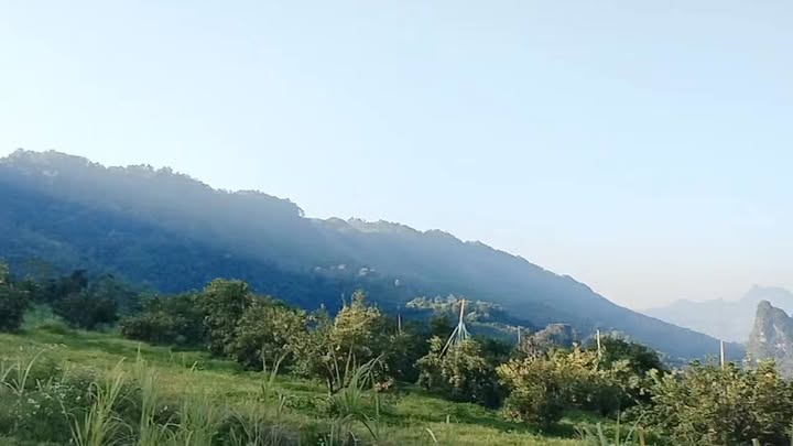 Lô đất Farm 1ha2 tại Mường Thàng, Phú Thọ giá chỉ 400 triệu - Đầu tư sinh lời hấp dẫn!