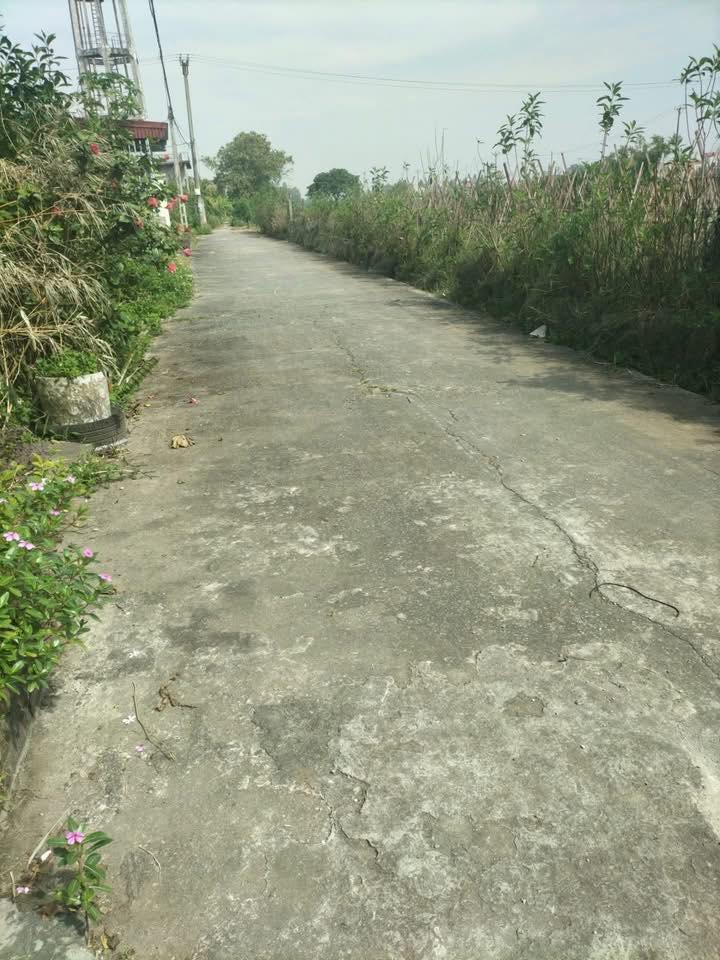 Đất 2 mặt tiền Khánh Hội 143m² - Đường thông ô tô thoải mái!