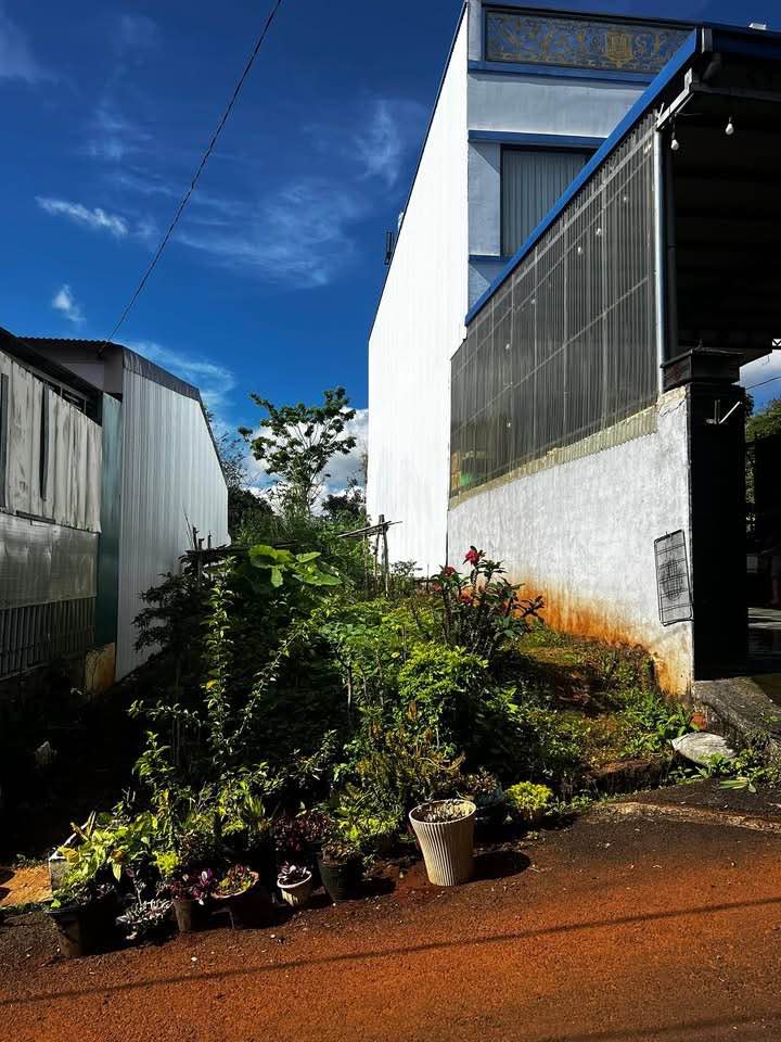 Nhà Bán Hẻm 34 Lý Chính Thắng, Bảo Lộc 140m² giá 1.55 tỷ - Tiện ích đầy đủ, view thoáng!