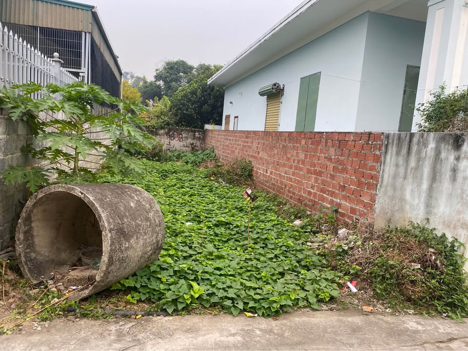 Đất nền đẹp tại TDP Quảng Thanh 1, Thủy Nguyên, Hải Phòng 75m² - Đầu tư sinh lời hiệu quả!