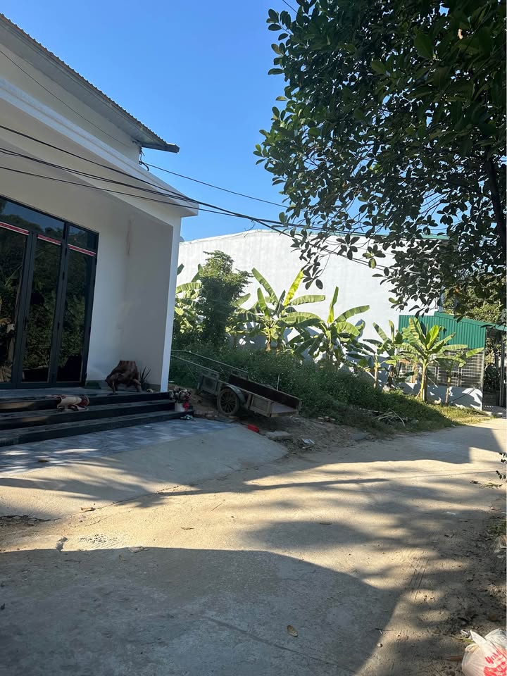 Đất Nông Tiến Tuyên Quang 95m² giá 850 triệu - Cơ hội đầu tư hấp dẫn!