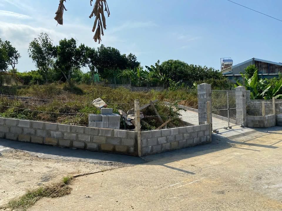 Đất nền Hòa Ninh Đà Nẵng 505m² giá 2 tỷ - Đầu tư sinh lời lý tưởng!