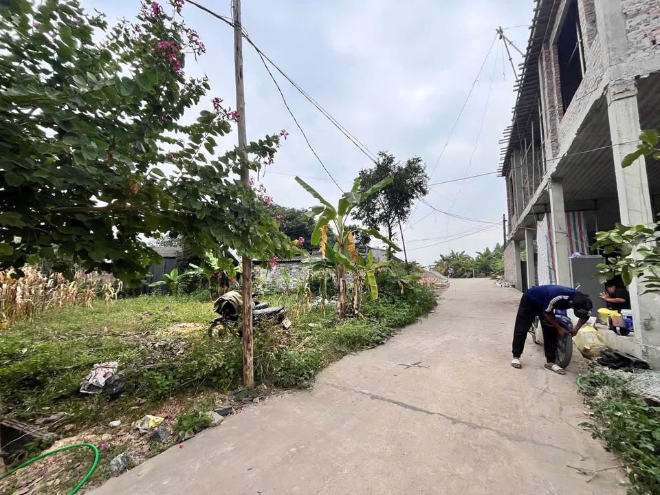 Đất nền Quán Triều Thái Nguyên 150m² giá 1.5 tỷ - Cơ hội đầu tư hấp dẫn!