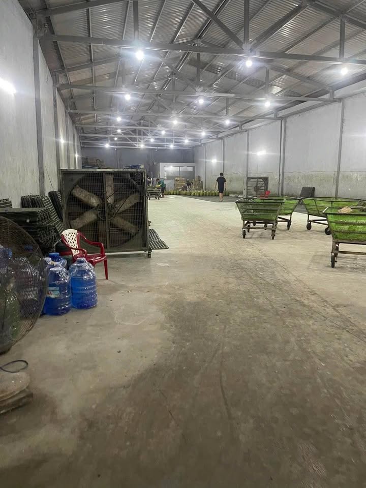 Kho cho thuê 1200m² mặt tiền QL1A, Cái Bè giá 610 triệu - Gần chợ Hòa Khánh!