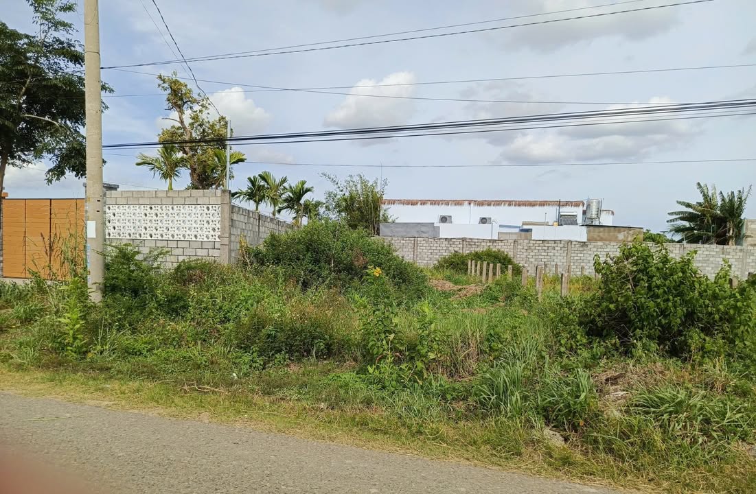 Đất thổ cư mặt tiền nhựa Thôn 1, xã Hàm Liêm, 295m² giá chỉ 1.85 tỷ - Đầu tư sinh lời nhanh!