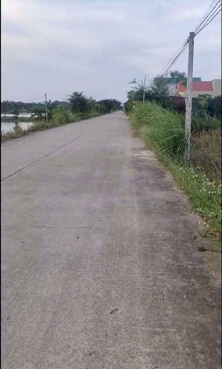 Đất nền Sơn Thành Ninh Bình 250m² giá chỉ 9xx triệu - Mặt tiền rộng, đường ô tô chạy thoải mái!