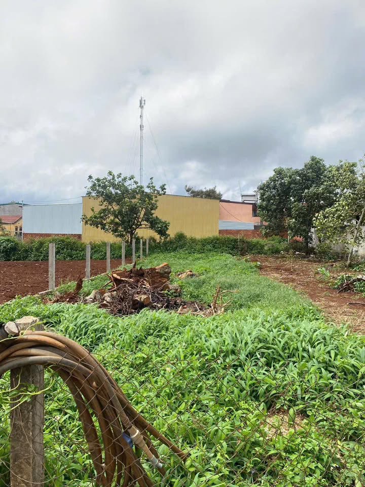 Đất nền Hiệp Thạnh 138m² giá 1.11 tỷ - Cơ hội đầu tư nhanh chóng!