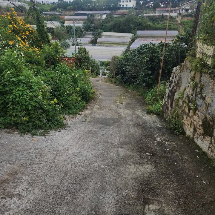 Đất Hùng Vương Đà Lạt 582m² giá chỉ 5.8 tỷ - Đầu tư sinh lời ngay!