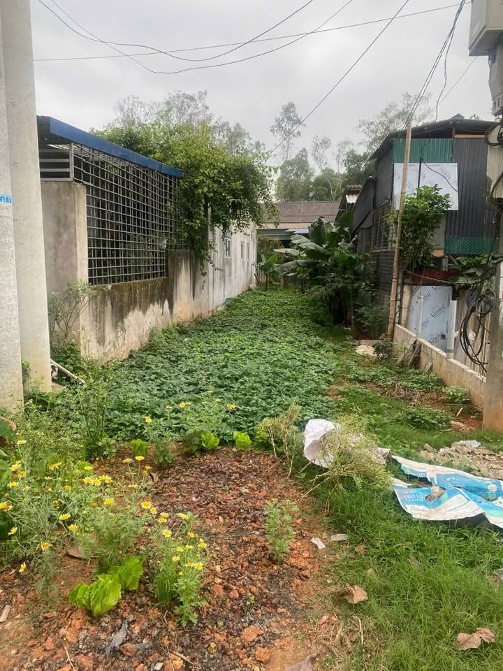 Đất kinh doanh mặt đường QL37, Thái Nguyên 151m² - Giá đầu tư hấp dẫn!