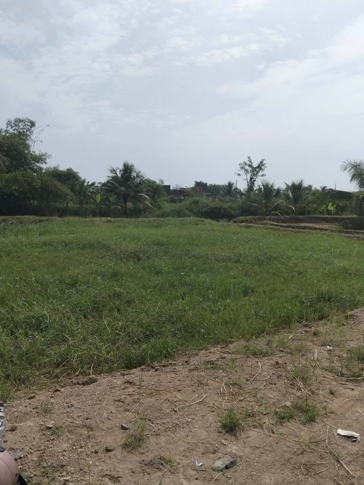 Đất cây trồng tại Bình An, Hàm Liêm 720m² giá 420 triệu - Mặt tiền thoáng mát gần chợ