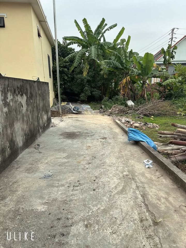 Đất nền Thiên Hương, Thủy Nguyên 100m² giá 800 triệu - Cơ hội đầu tư tuyệt vời!