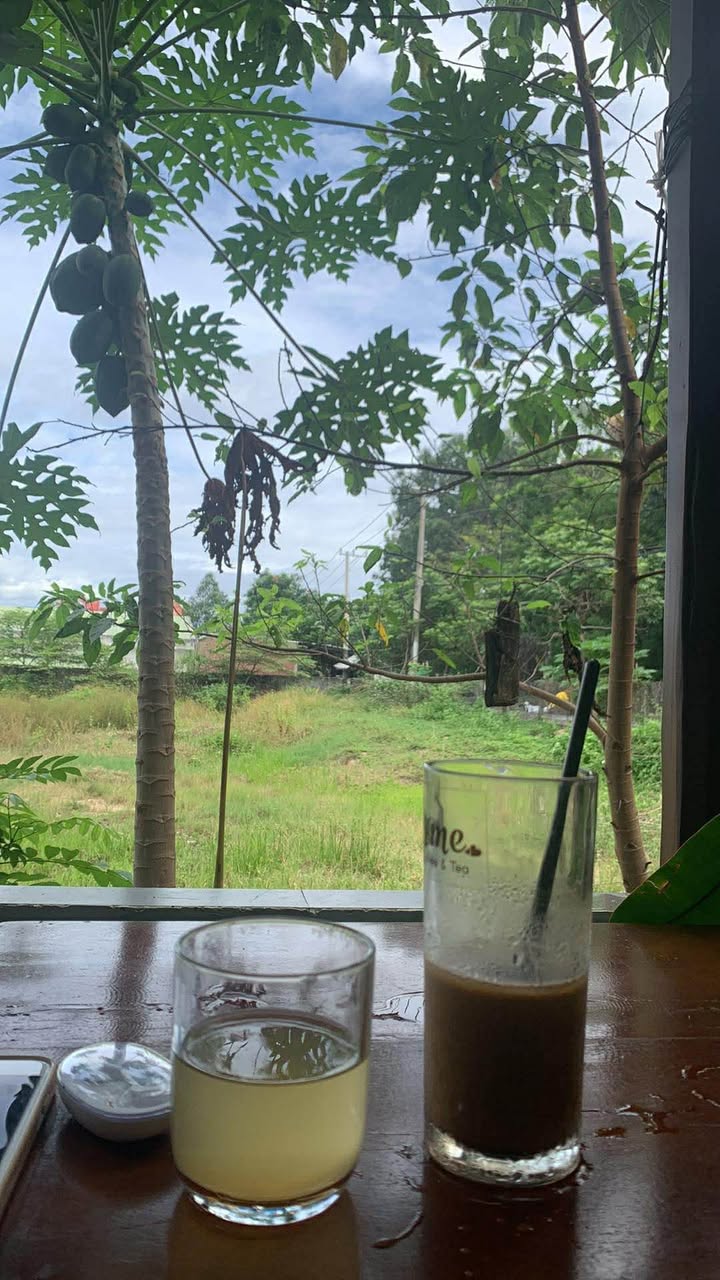 Đất thổ cư 230m² xã Hòa Khánh, Buôn Ma Thuột - Giá chỉ 880 triệu!