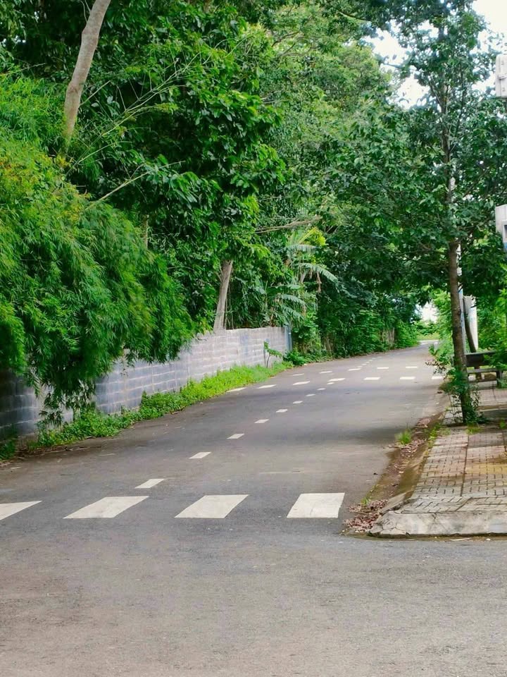 Đất nền Hòa Long, Bà Rịa 135m² chỉ 1.399 tỷ - Giá cực hấp dẫn!