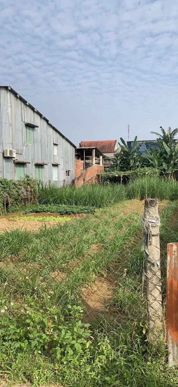 Đất nền Duy Trinh Duy Xuyên 324m² - Vị trí thuận lợi cho đầu tư