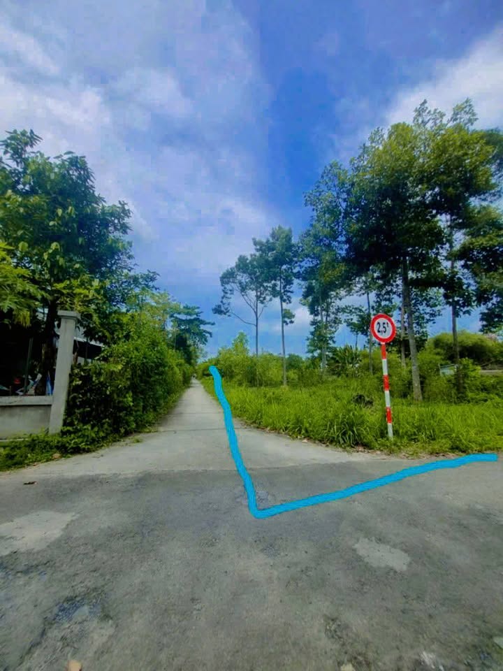 Đất nông nghiệp tại xã Hàm Tân, Trà Cú, diện tích 1.743m² - Cắt lỗ nhanh!