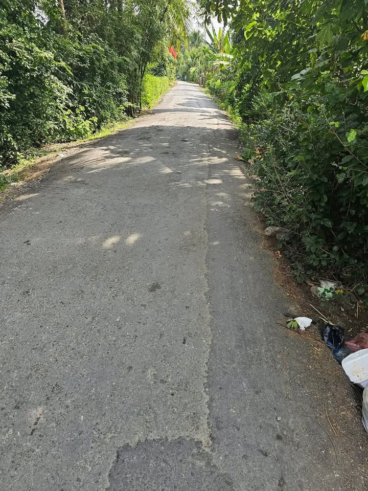 Đất vườn 1200m² tại đường Mỹ Trang, phường Nhị Mỹ, Cai Lậy - Giá chỉ 230 triệu!