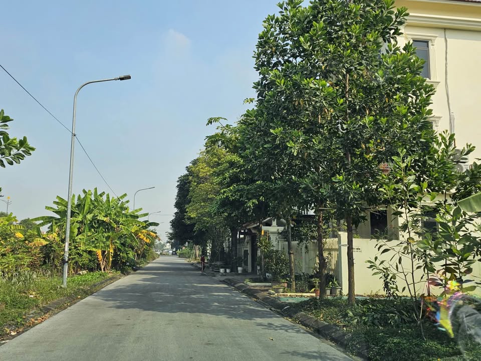 Đất nền 270m² tại Lý Thánh Tông, Bắc Ninh - Giá chỉ 7 triệu/m², bán nhanh!