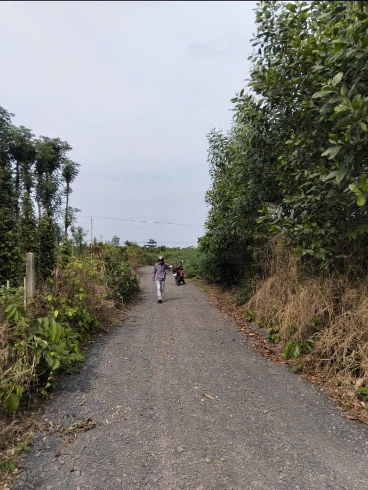 Đất nền 1200m² Long Tân, Nhơn Trạch chỉ 1.4 tỷ - Cơ hội đầu tư tuyệt vời!