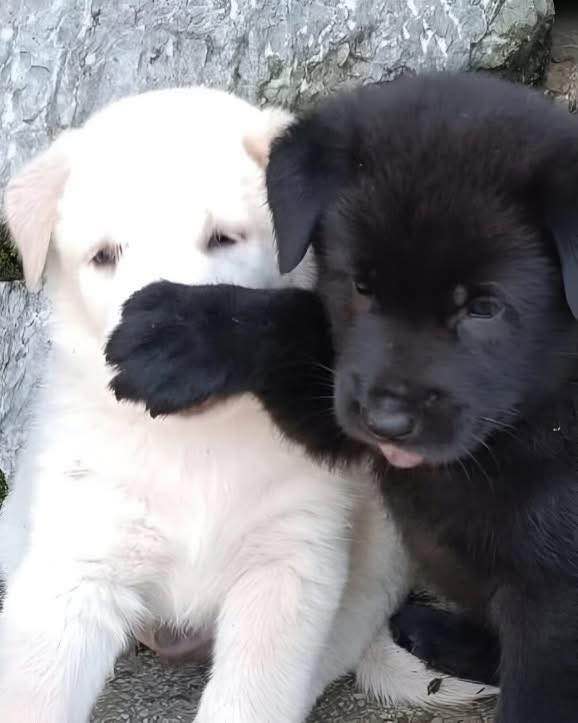 Đất mặt tiền Bến Tràm, Phú Quốc 500m² - Đầu tư sinh lời hấp dẫn!