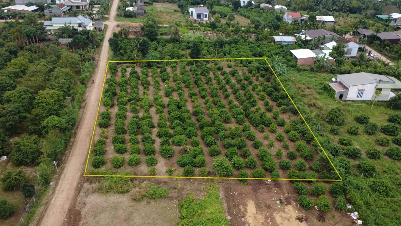 Đất nền mặt tiền đường bê tông xã Xuân Phú 2784m² giá 3 tỷ - Chính chủ bán gấp!