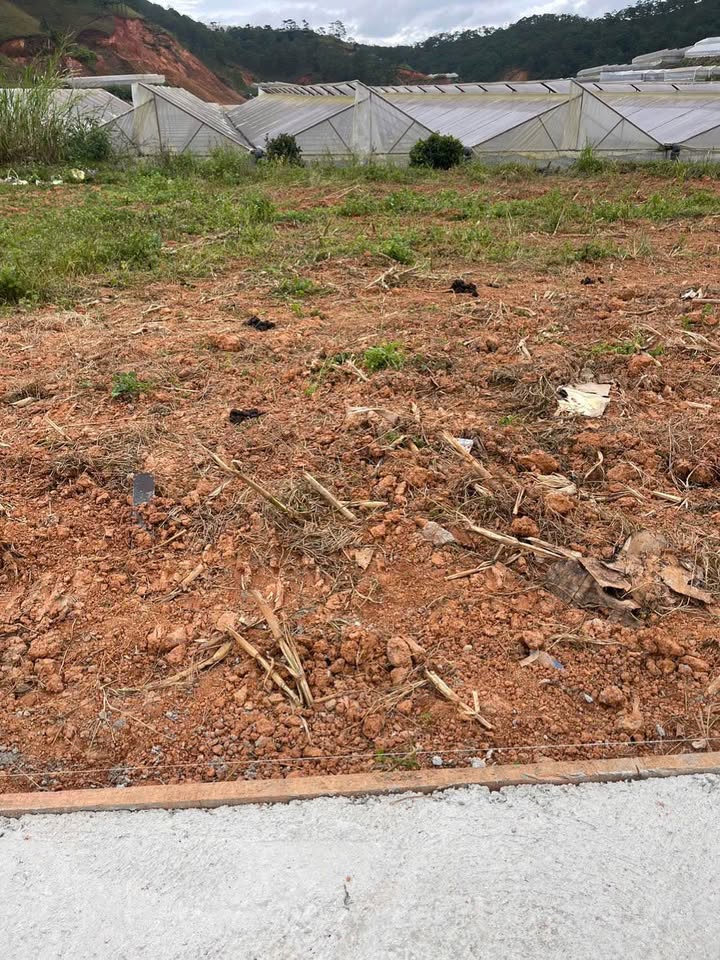 Đất nền 90m² phường Lang Biang, Đà Lạt - Giá chỉ 880 triệu, sổ đỏ chính chủ!