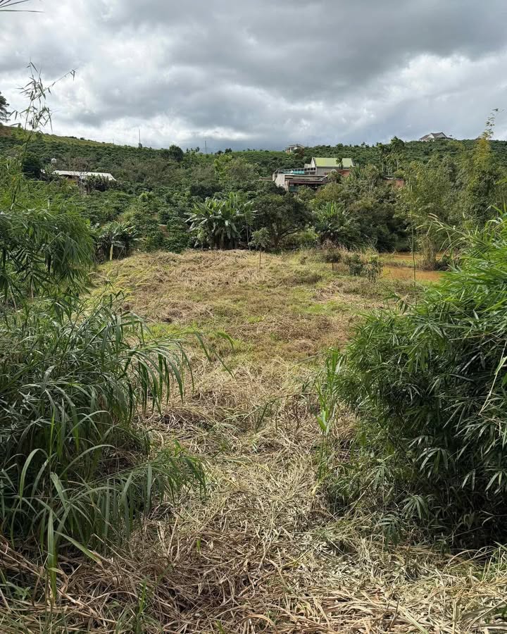 Đất nền Mê Linh, Nam Ban 3300m² giá 1.5 tỷ - Cơ hội đầu tư không thể bỏ lỡ!