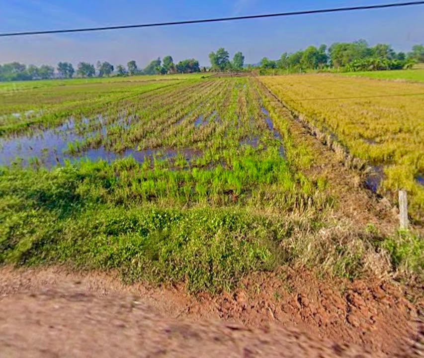 Đất vườn mặt tiền đường Cầu Dây, xã Hòa Phú, 1.386m² - Tiềm năng tăng giá mạnh!