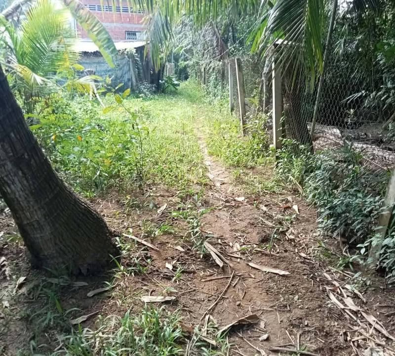 Đất thổ cư Phước Mỹ Trung 1100m² giá 650 triệu - Sổ đỏ chính chủ, vị trí đẹp!