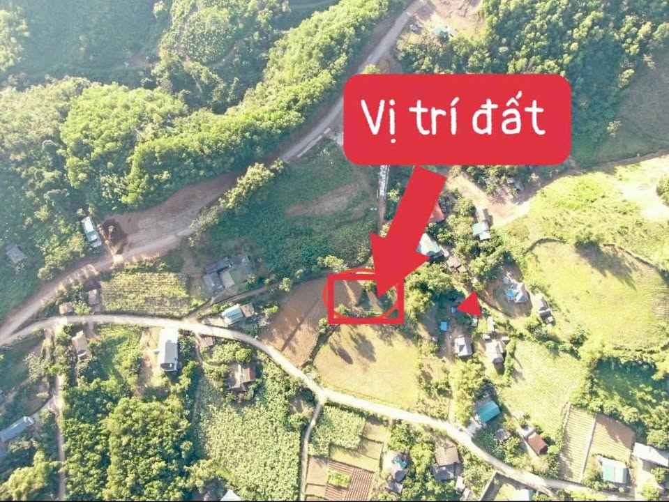 Đất nghỉ dưỡng tại xóm Ngay, Mỹ Hòa, Tân Lạc 1.000m² - Tiềm năng tăng giá mạnh!