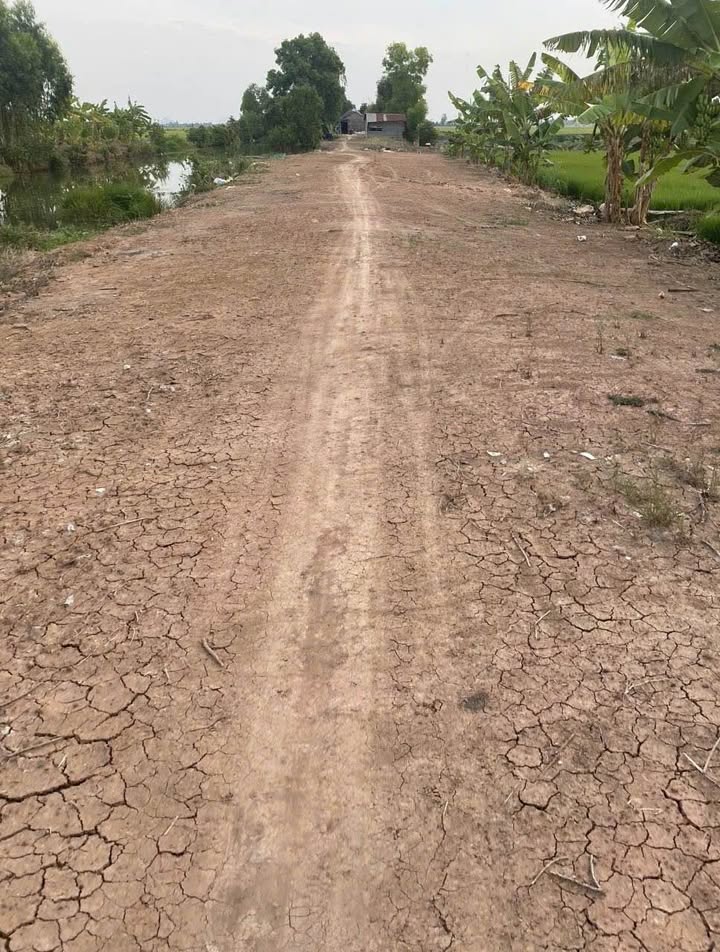 Đất nông nghiệp 50 công tại xã Hoà Điền, Kiên Lương - Cơ hội đầu tư hấp dẫn!