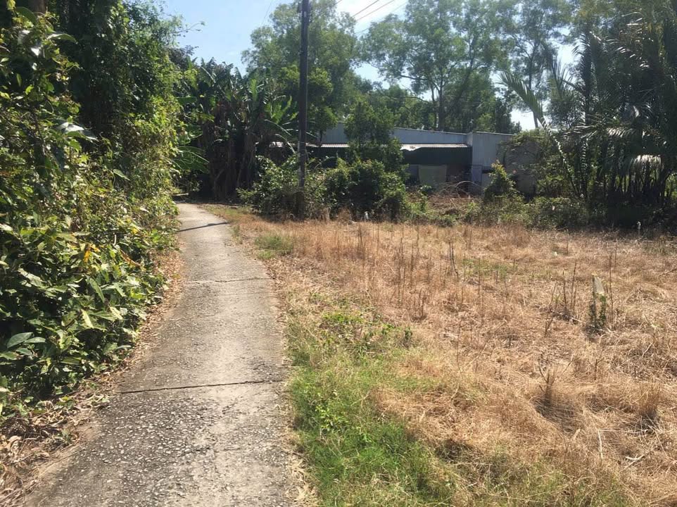 Đất thổ cư 110m² xã Thạnh Lộc, Châu Thành - Giá chỉ 265 triệu!