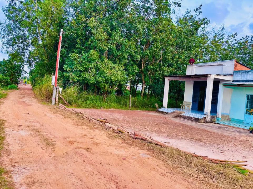 Đất nền Xóm Mới 2, Trí Bình, Tây Ninh 570m² giá chỉ 410 triệu - Cơ hội đầu tư tuyệt vời!